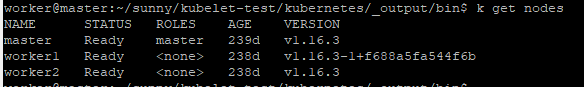 nodes info with the new installed kubelet