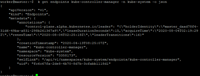 kubernetes kube-controller-manager endpoints describe