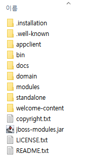 WildFly Directories