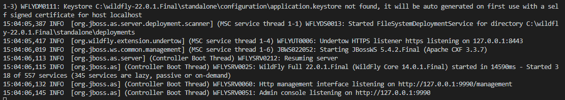 WildFly Booting